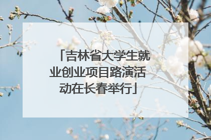 吉林省大学生就业创业项目路演活动在长春举行