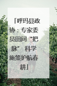 呼玛县政协：专家委员田间“把脉” 科学施策护航春耕