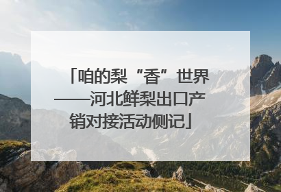 咱的梨“香”世界——河北鲜梨出口产销对接活动侧记