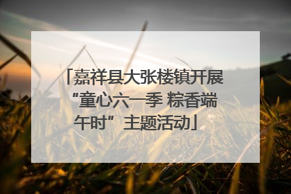 嘉祥县大张楼镇开展“童心六一季 粽香端午时”主题活动