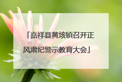 嘉祥县黄垓镇召开正风肃纪警示教育大会