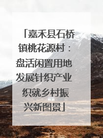 嘉禾县石桥镇桃花源村：盘活闲置用地发展针织产业 织就乡村振兴新图景