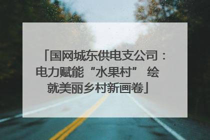 国网城东供电支公司：电力赋能“水果村” 绘就美丽乡村新画卷