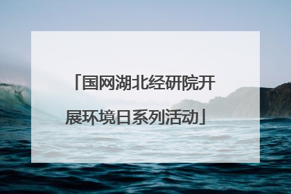 国网湖北经研院开展环境日系列活动