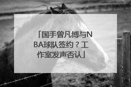 国手曾凡博与NBA球队签约？工作室发声否认