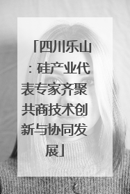 四川乐山：硅产业代表专家齐聚共商技术创新与协同发展
