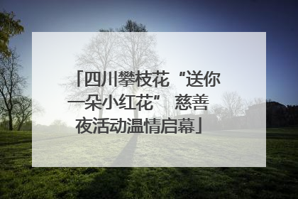 四川攀枝花“送你一朵小红花” 慈善夜活动温情启幕