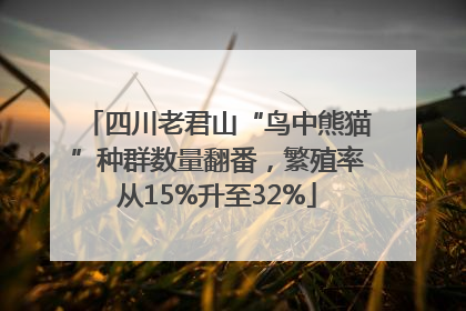 四川老君山“鸟中熊猫”种群数量翻番，繁殖率从15%升至32%