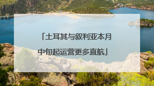土耳其与叙利亚本月中旬起运营更多直航