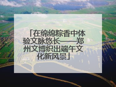 在绵绵粽香中体验文脉悠长——郑州文博织出端午文化新风景