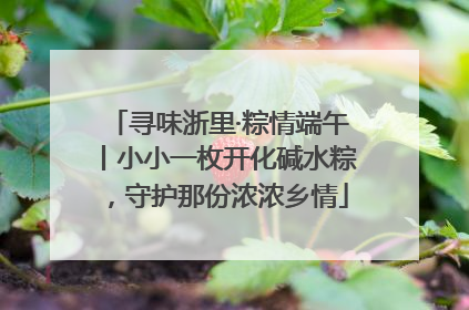 寻味浙里·粽情端午丨小小一枚开化碱水粽，守护那份浓浓乡情
