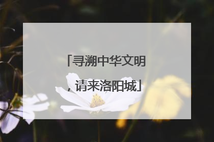 寻溯中华文明，请来洛阳城