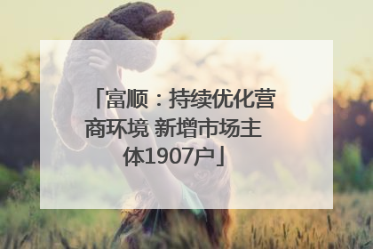 富顺：持续优化营商环境 新增市场主体1907户
