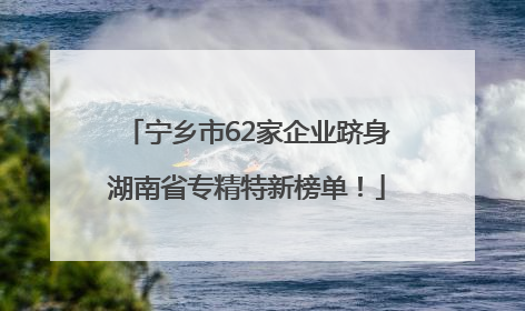 宁乡市62家企业跻身湖南省专精特新榜单！