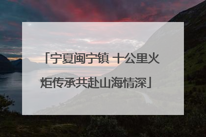 宁夏闽宁镇 十公里火炬传承共赴山海情深
