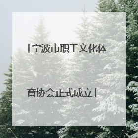 宁波市职工文化体育协会正式成立