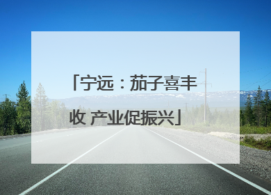 宁远：茄子喜丰收 产业促振兴