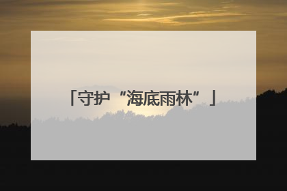 守护“海底雨林”