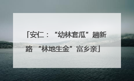 安仁：“幼林套瓜”趟新路 “林地生金”富乡亲