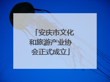 安庆市文化和旅游产业协会正式成立