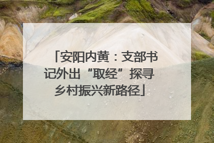 安阳内黄：支部书记外出“取经”探寻乡村振兴新路径
