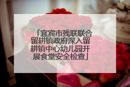 宜宾市残联联合留耕镇政府深入留耕镇中心幼儿园开展食堂安全检查