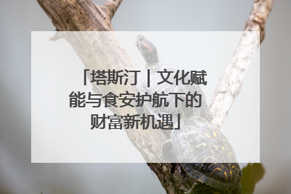 塔斯汀｜文化赋能与食安护航下的财富新机遇