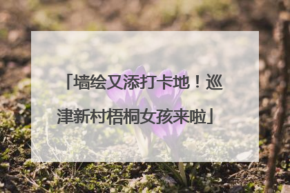 墙绘又添打卡地！巡津新村梧桐女孩来啦