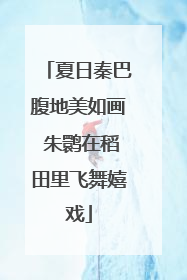 夏日秦巴腹地美如画 朱鹮在稻田里飞舞嬉戏
