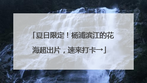 夏日限定！杨浦滨江的花海超出片，速来打卡→