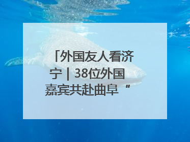 外国友人看济宁｜38位外国嘉宾共赴曲阜“文化之约”