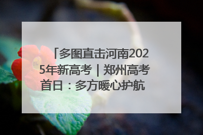 多图直击河南2025年新高考｜郑州高考首日：多方暖心护航 助力学子逐梦