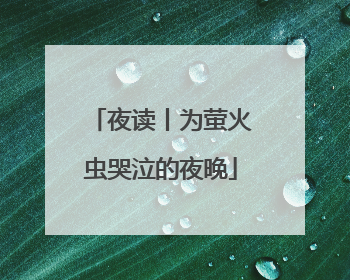 夜读丨为萤火虫哭泣的夜晚