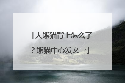 大熊猫背上怎么了？熊猫中心发文→