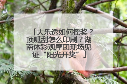 大乐透如何摇奖？顶呱刮怎么印刷？湖南体彩观摩团现场见证“阳光开奖”