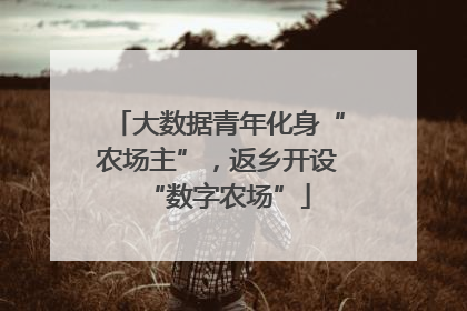 大数据青年化身“农场主”，返乡开设“数字农场”