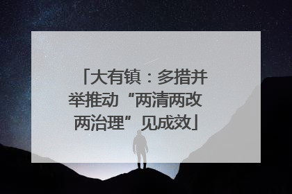大有镇：多措并举推动“两清两改两治理”见成效