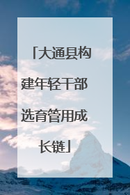 大通县构建年轻干部选育管用成长链