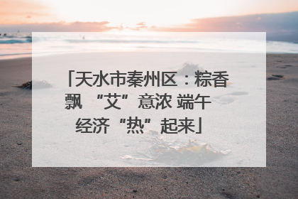 天水市秦州区：粽香飘 “艾”意浓 端午经济“热”起来