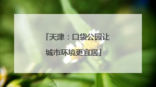 天津：口袋公园让城市环境更宜居