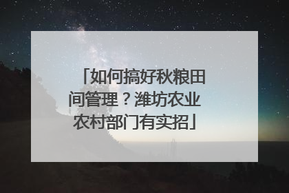 如何搞好秋粮田间管理？潍坊农业农村部门有实招