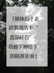 媒体行｜走进凯盛浩丰“番茄硅谷”：看数字神经下的精准农业