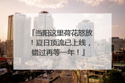 当阳这里荷花怒放！夏日顶流已上线，错过再等一年！