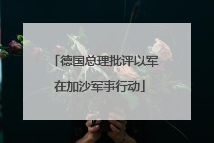 德国总理批评以军在加沙军事行动