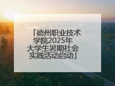德州职业技术学院2025年大学生暑期社会实践活动启动