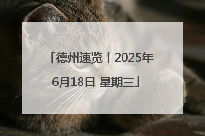 德州速览丨2025年6月18日 星期三