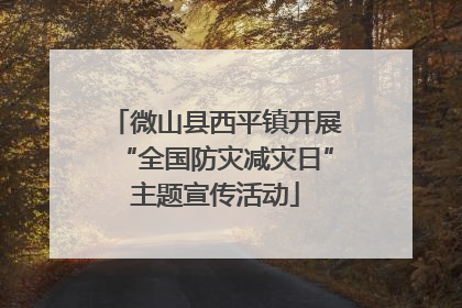 微山县西平镇开展“全国防灾减灾日”主题宣传活动