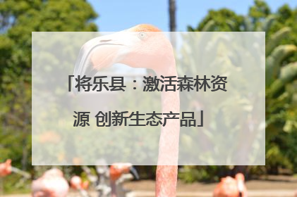 将乐县：激活森林资源 创新生态产品
