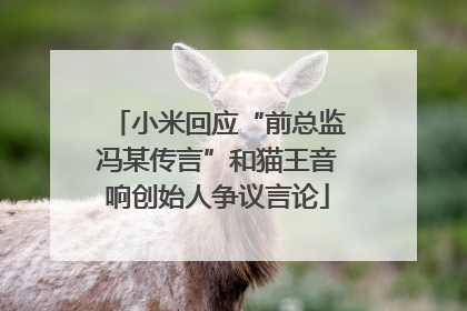 小米回应“前总监冯某传言”和猫王音响创始人争议言论