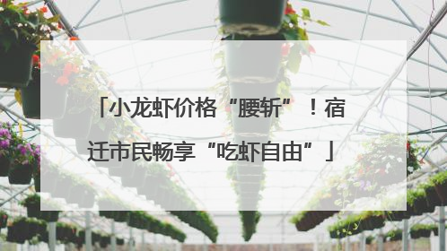 小龙虾价格“腰斩”！宿迁市民畅享“吃虾自由”